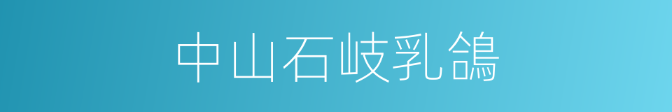 中山石岐乳鴿的同義詞