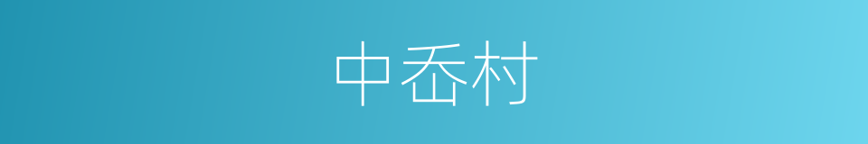 中岙村的同义词