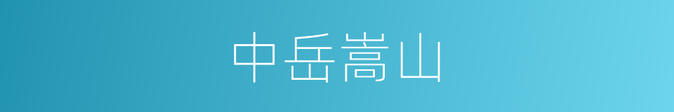 中岳嵩山的同义词