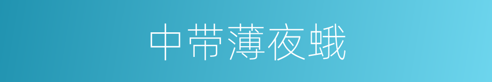 中带薄夜蛾的同义词