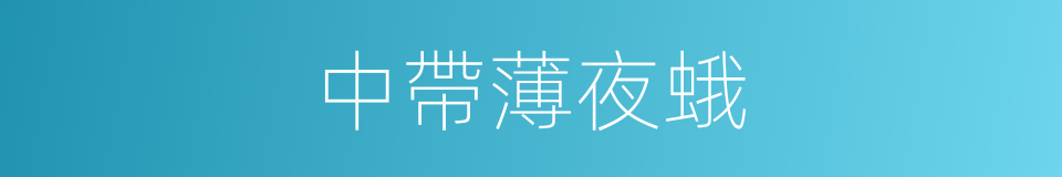 中帶薄夜蛾的同義詞