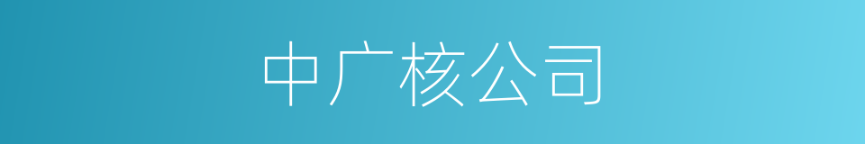 中广核公司的同义词
