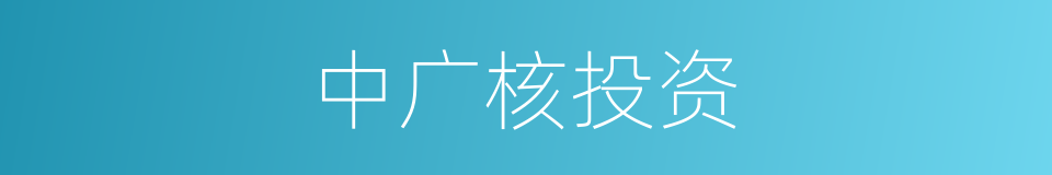 中广核投资的同义词