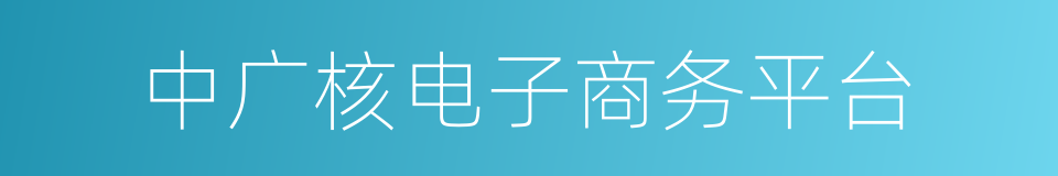 中广核电子商务平台的同义词