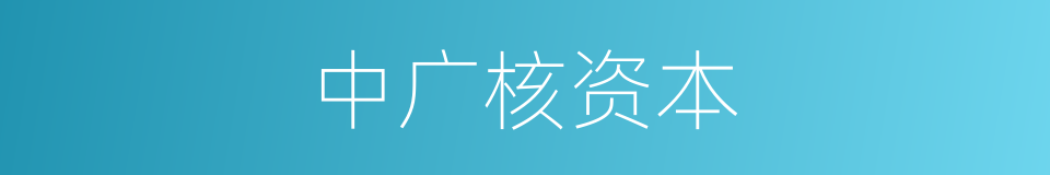 中广核资本的同义词