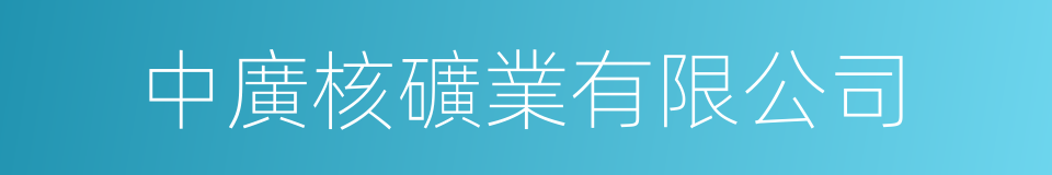 中廣核礦業有限公司的同義詞