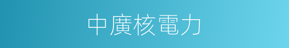 中廣核電力的同義詞