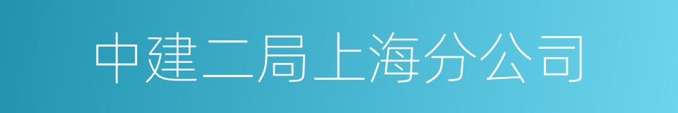 中建二局上海分公司的同义词