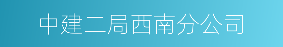 中建二局西南分公司的同义词