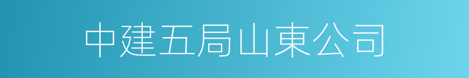 中建五局山東公司的同義詞