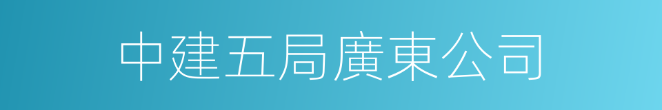中建五局廣東公司的同義詞