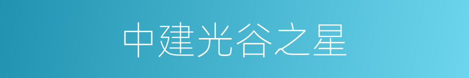 中建光谷之星的同义词