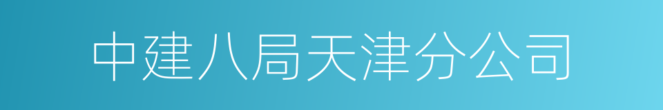 中建八局天津分公司的同义词