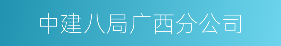 中建八局广西分公司的同义词