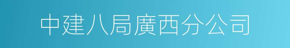 中建八局廣西分公司的同義詞