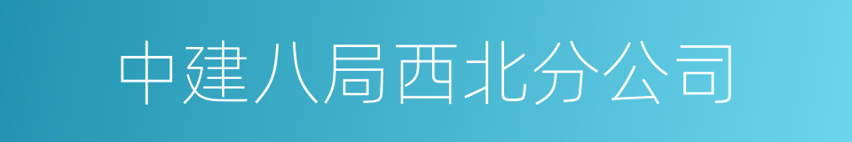 中建八局西北分公司的同义词