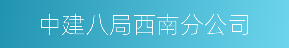 中建八局西南分公司的同义词