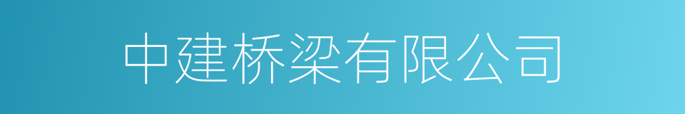 中建桥梁有限公司的同义词