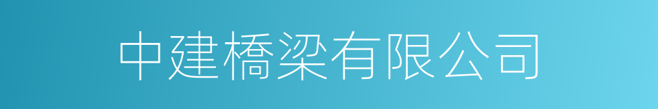 中建橋梁有限公司的同義詞