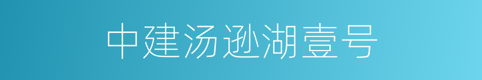 中建汤逊湖壹号的同义词