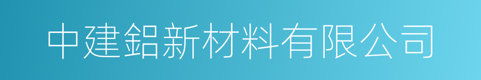 中建鋁新材料有限公司的同義詞