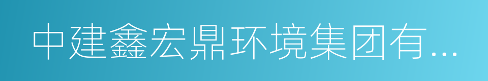 中建鑫宏鼎环境集团有限公司的同义词