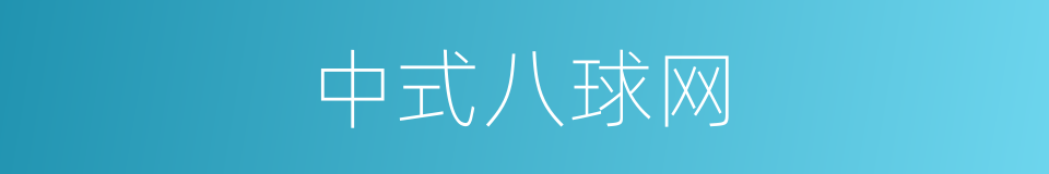 中式八球网的同义词