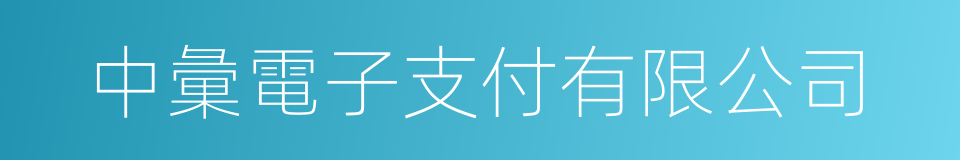 中彙電子支付有限公司的同義詞