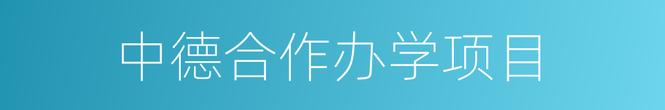 中德合作办学项目的同义词