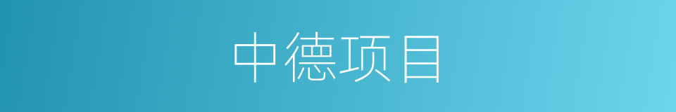 中德项目的同义词