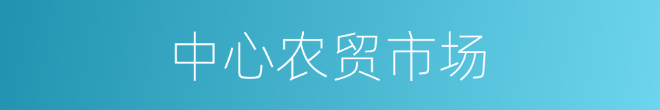 中心农贸市场的同义词
