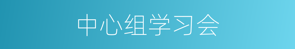 中心组学习会的同义词