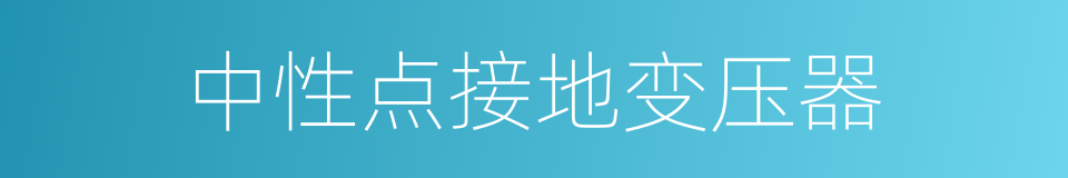 中性点接地变压器的同义词