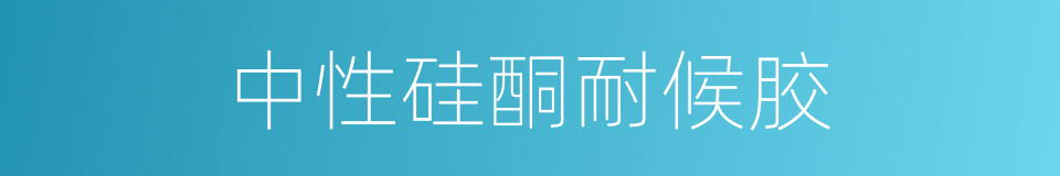 中性硅酮耐候胶的同义词