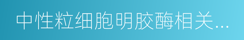 中性粒细胞明胶酶相关脂质运载蛋白的同义词