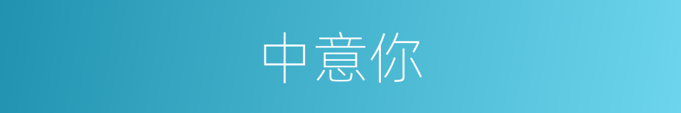 中意你的同义词