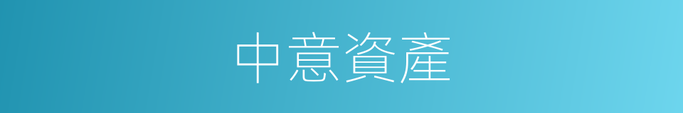 中意資產的同義詞