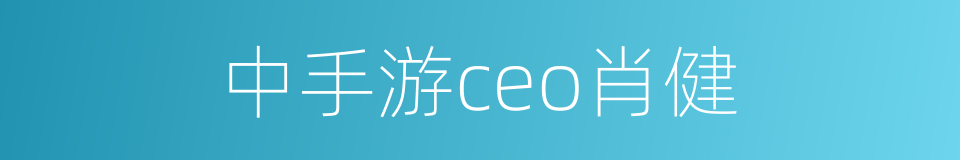 中手游ceo肖健的同义词