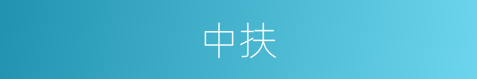 中扶的同义词