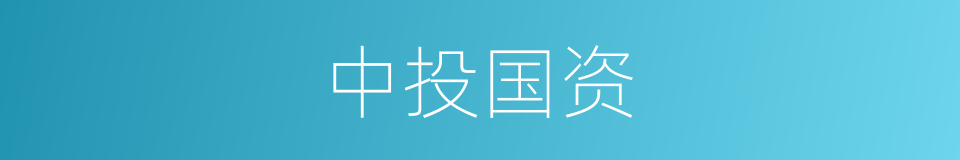 中投国资的同义词