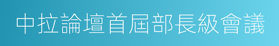 中拉論壇首屆部長級會議的同義詞