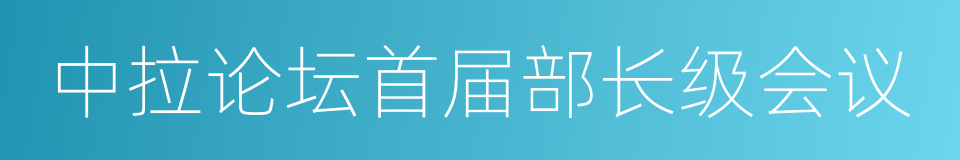 中拉论坛首届部长级会议的同义词