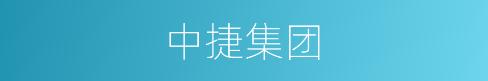 中捷集团的同义词