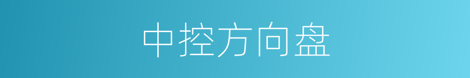 中控方向盘的同义词