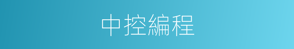 中控編程的同義詞