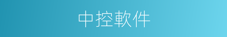 中控軟件的同義詞