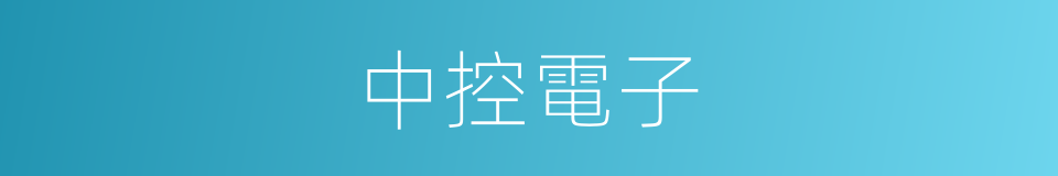 中控電子的同義詞