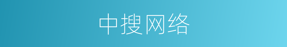 中搜网络的同义词