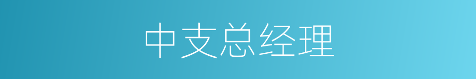 中支总经理的同义词