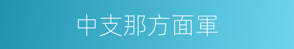 中支那方面軍的同義詞